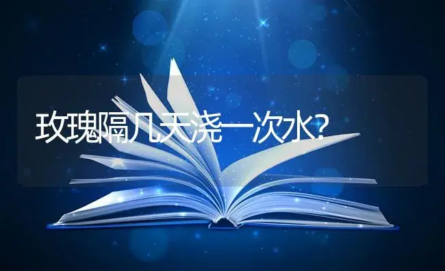 玫瑰隔几天浇一次水？ | 家庭养花