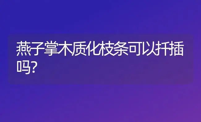 燕子掌木质化枝条可以扦插吗？ | 多肉养殖