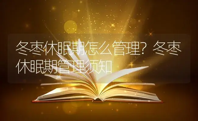 冬枣休眠期怎么管理？冬枣休眠期管理须知 | 果木种植