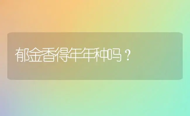 郁金香得年年种吗？ | 绿植常识