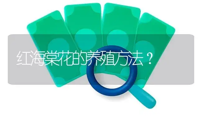 红海棠花的养殖方法？ | 绿植常识