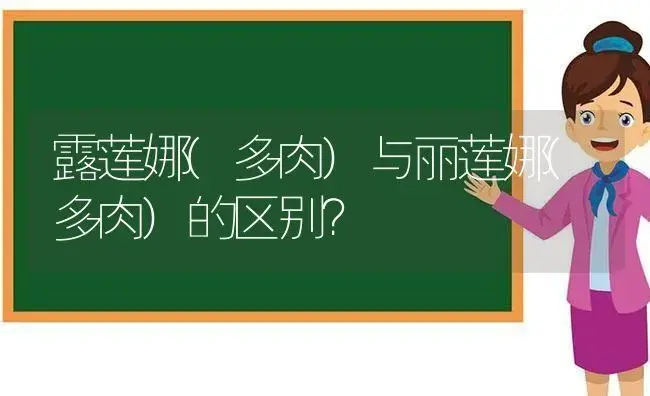 露莲娜(多肉)与丽莲娜(多肉)的区别？ | 多肉养殖