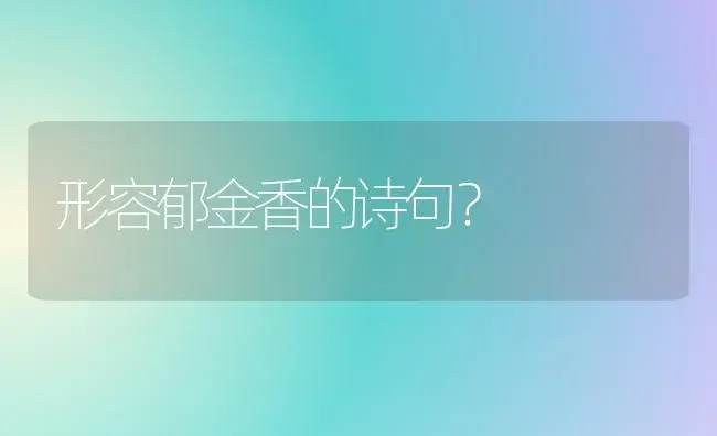 形容郁金香的诗句？ | 绿植常识