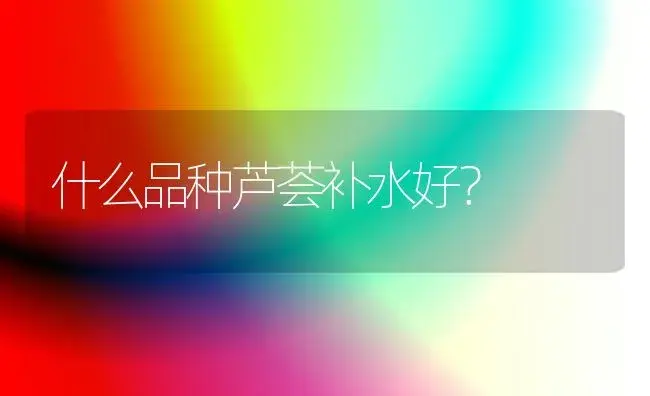 什么品种芦荟补水好？ | 多肉养殖