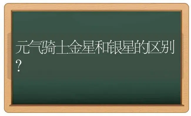 元气骑士金星和银星的区别？ | 多肉养殖
