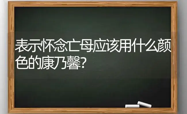 表示怀念亡母应该用什么颜色的康乃馨？ | 绿植常识