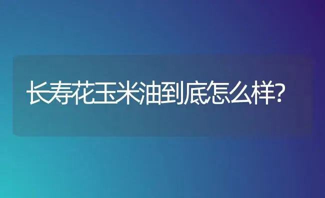 长寿花玉米油到底怎么样？ | 多肉养殖