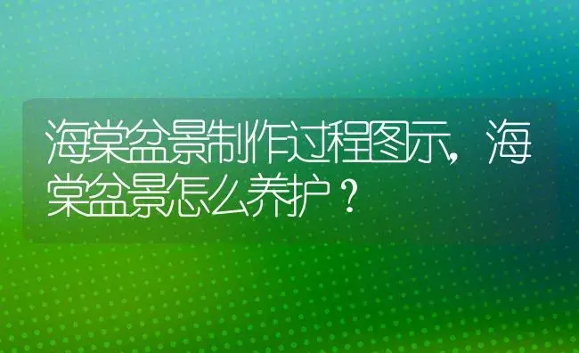 海棠盆景制作过程图示，海棠盆景怎么养护？ | 绿植常识