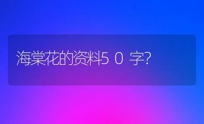 海棠花的资料50字？ | 绿植常识