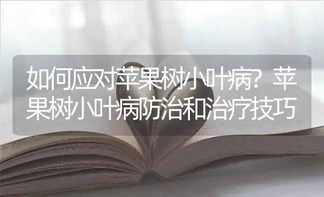 如何应对苹果树小叶病？苹果树小叶病防治和治疗技巧 | 果木种植