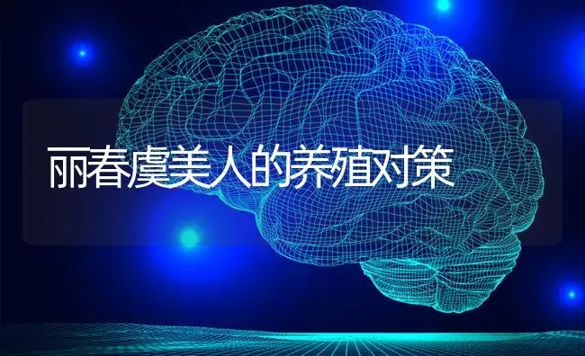 丽春虞美人的养殖对策 | 特种种植