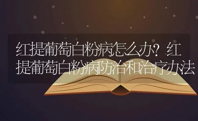 红提葡萄白粉病怎么办？红提葡萄白粉病防治和治疗办法 | 果木种植