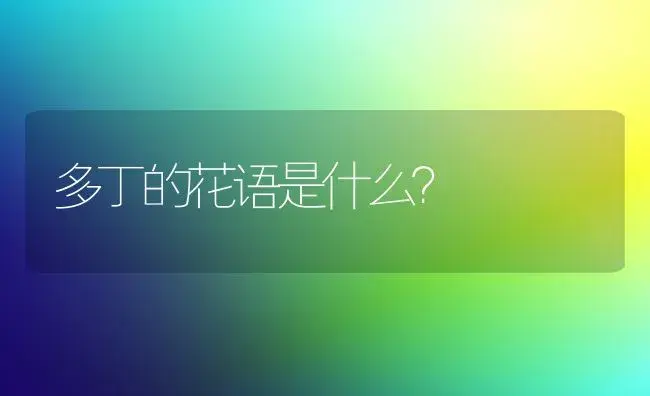 多丁的花语是什么？ | 绿植常识