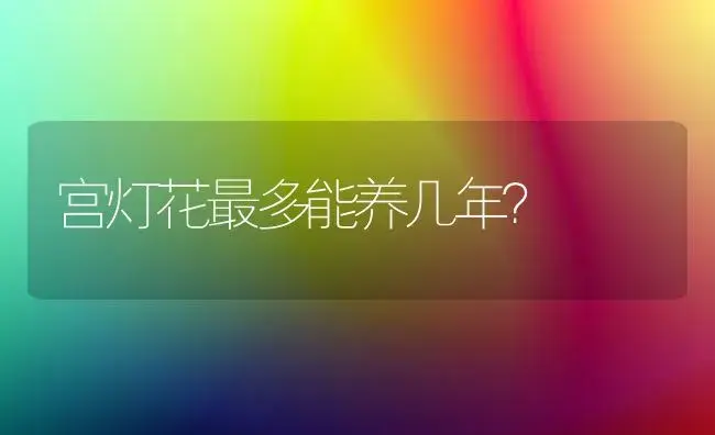 宫灯花最多能养几年？ | 多肉养殖