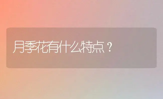 月季花有什么特点？ | 绿植常识