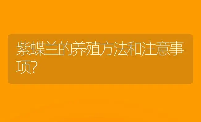 紫蝶兰的养殖方法和注意事项？ | 绿植常识