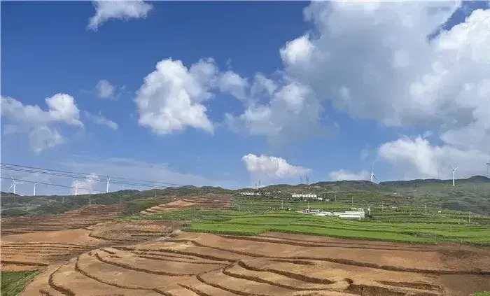 贵州盘州市乌蒙镇褐灵芝菇项目建设加快