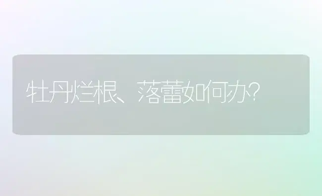 牡丹烂根、落蕾如何办？ | 家庭养花