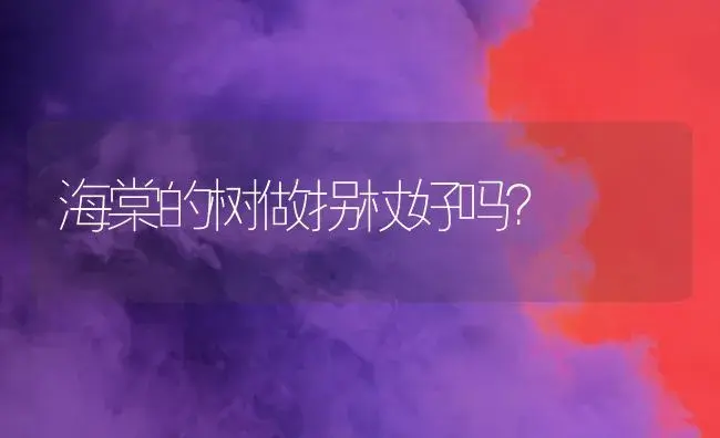 海棠的树做拐杖好吗？ | 绿植常识