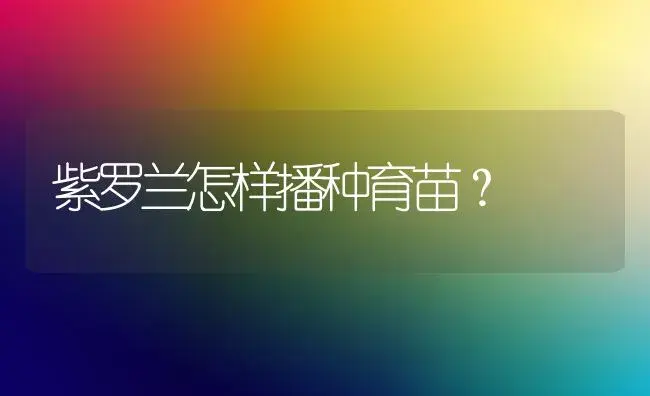 紫罗兰怎样播种育苗？ | 绿植常识