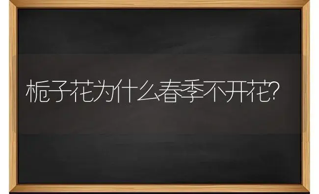 栀子花为什么春季不开花？ | 绿植常识