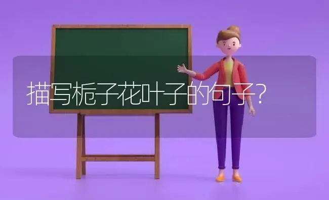 描写栀子花叶子的句子？ | 绿植常识