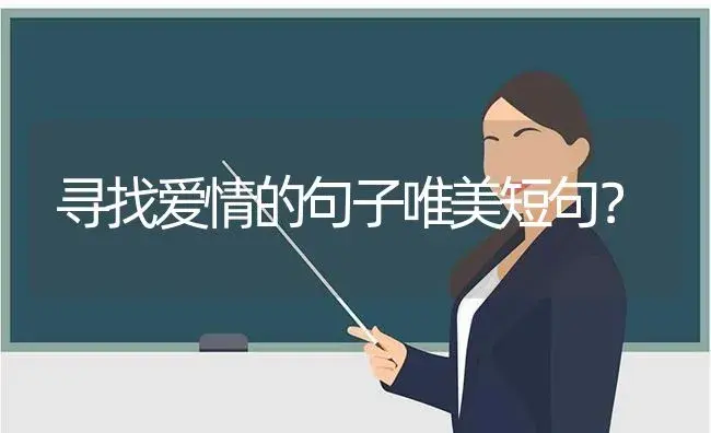 寻找爱情的句子唯美短句？ | 绿植常识