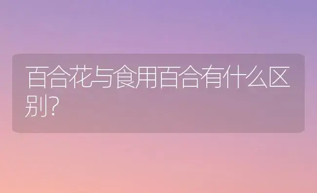 百合花与食用百合有什么区别？ | 绿植常识