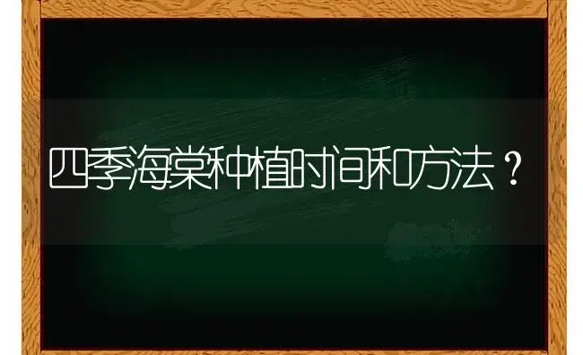 四季海棠种植时间和方法？ | 绿植常识