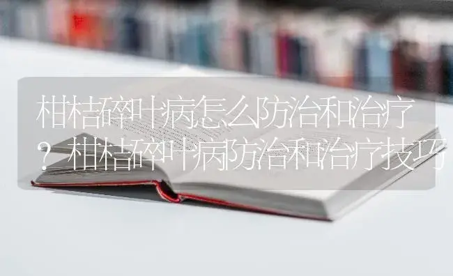 柑桔碎叶病怎么防治和治疗？柑桔碎叶病防治和治疗技巧 | 果木种植