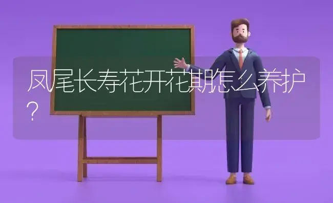 凤尾长寿花开花期怎么养护？ | 多肉养殖
