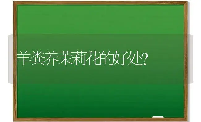 栀子花香薰适合放卧室吗？ | 绿植常识