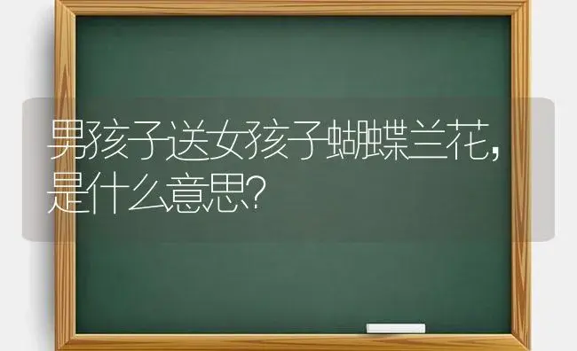 男孩子送女孩子蝴蝶兰花，是什么意思？ | 绿植常识