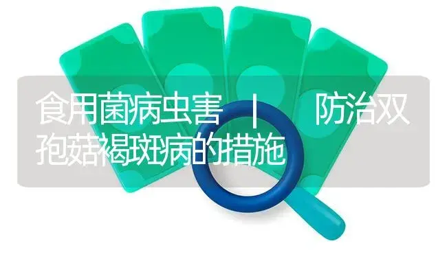 防治双孢菇褐斑病的措施 | 菌菇种植