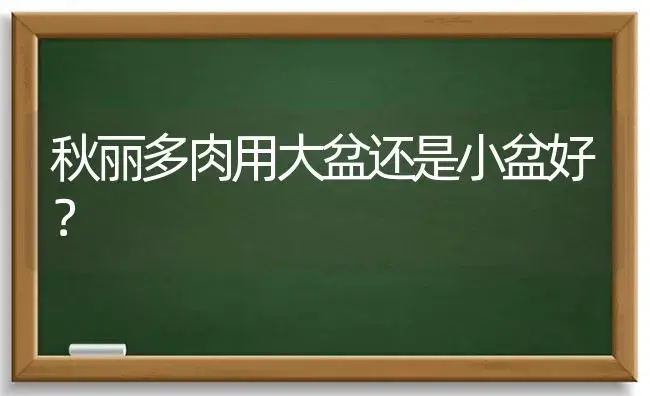 秋丽多肉用大盆还是小盆好？ | 多肉养殖