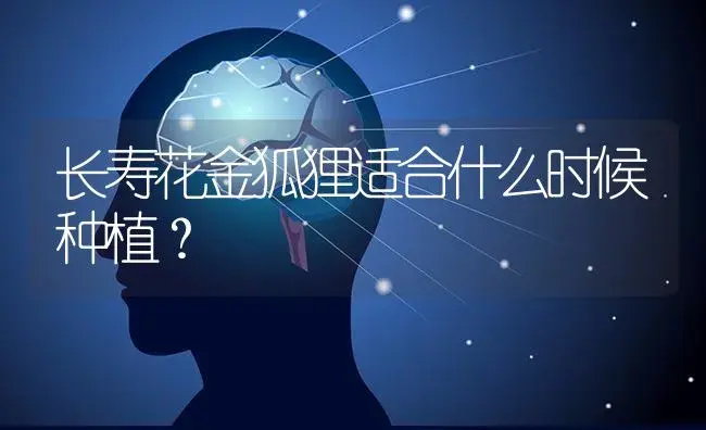 长寿花金狐狸适合什么时候种植？ | 多肉养殖