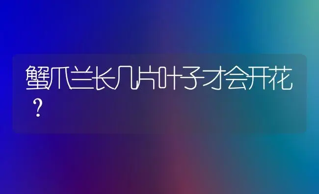 蟹爪兰长几片叶子才会开花？ | 多肉养殖
