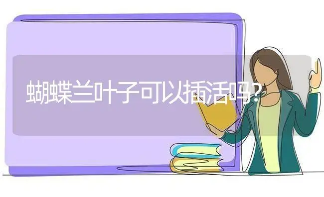 蝴蝶兰叶子可以插活吗？ | 绿植常识