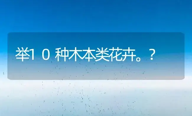 举10种木本类花卉。？ | 绿植常识