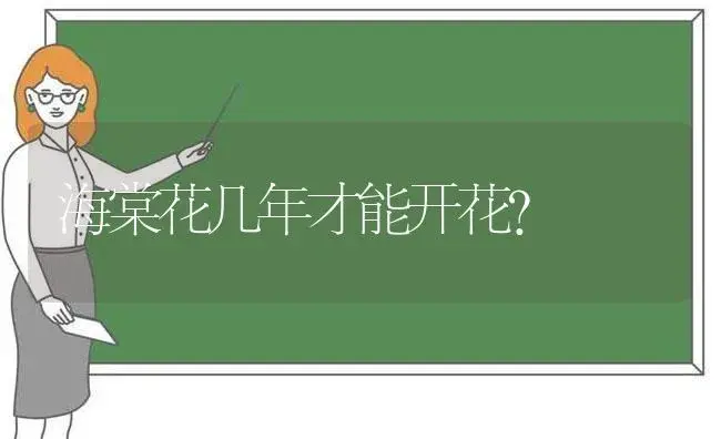 海棠花几年才能开花？ | 绿植常识