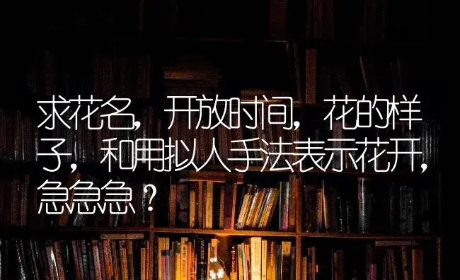 求花名，开放时间，花的样子，和用拟人手法表示花开，急急急？ | 绿植常识