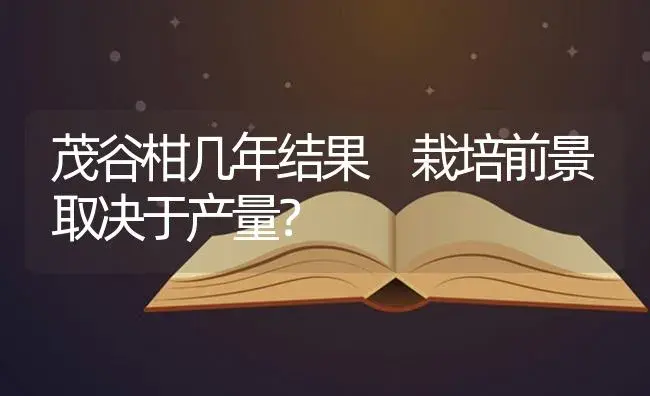 茂谷柑几年结果 栽培前景取决于产量？ | 特种种植