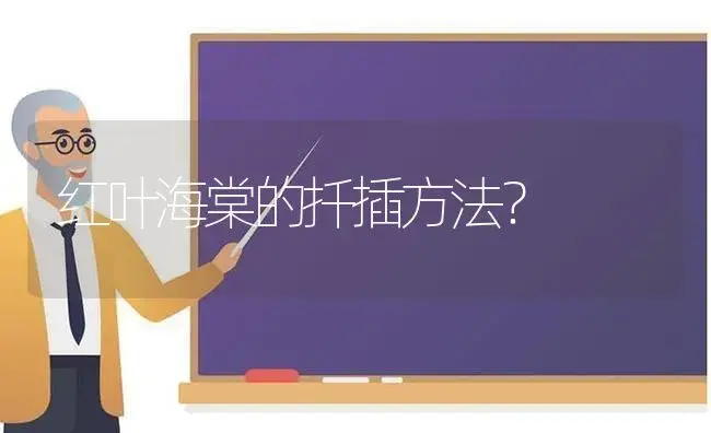 红叶海棠的扦插方法？ | 绿植常识