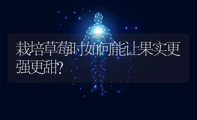 栽培草莓时如何能让果实更强更甜？ | 果木种植