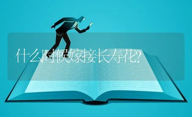 什么时候嫁接长寿花？ | 多肉养殖