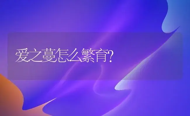 爱之蔓怎么繁育？ | 家庭养花