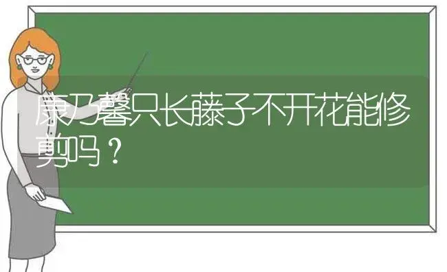 康乃馨只长藤子不开花能修剪吗？ | 绿植常识