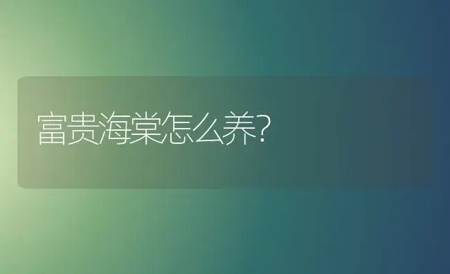 富贵海棠怎么养？ | 绿植常识