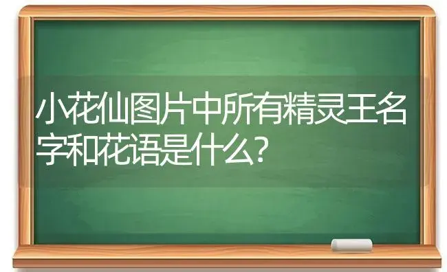 小花仙图片中所有精灵王名字和花语是什么？ | 绿植常识