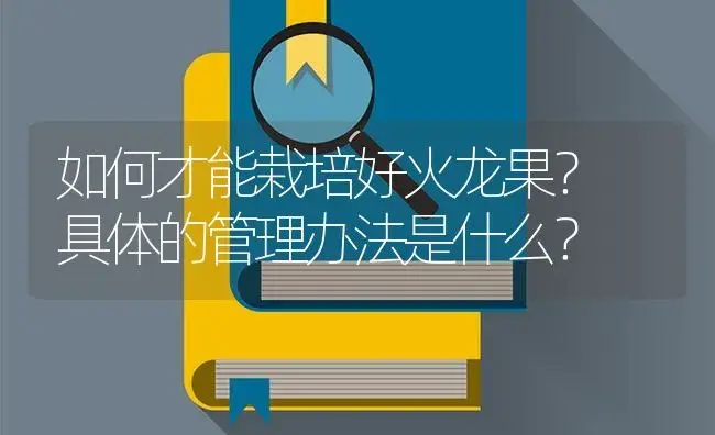 如何才能栽培好火龙果？ 具体的管理办法是什么？ | 果木种植